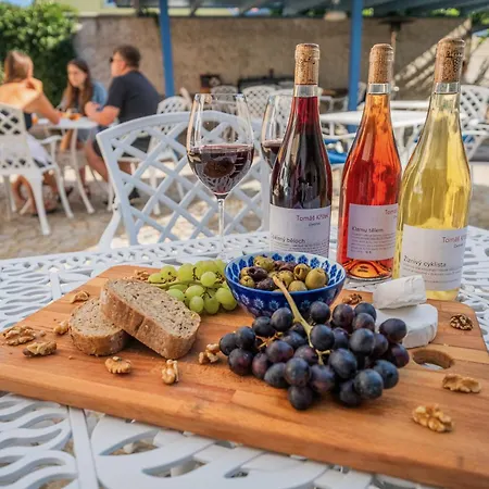 Naturalni Vinarstvi Dvorek - Penzion, Bistro & Wellness Pensjonat